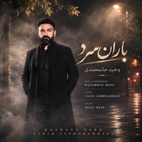 دانلود آهنگ وحید جان محمدی به نام باران سرد